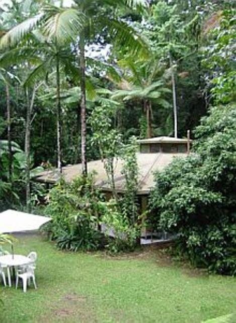 Daintree Deep Forest Lodge Cape Tribulation Exterior foto
