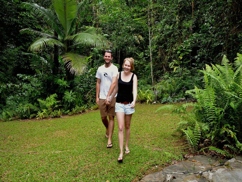 Daintree Deep Forest Lodge Cape Tribulation Exterior foto